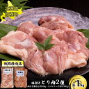 【ふるさと納税】味付とり肉2種セット1kg（とりしお500g・手羽中500g）[鶴岡精肉店]北海道京極町【 とり 鶏 もも肉 モモ スパイシー BBQ バーベキュー 焼肉 】　【 おうち焼肉 国産鶏肉使用 おかず つまみ お酒のあて 】　お届け：2023年9月より順次出荷開始