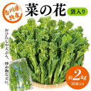 【ふるさと納税】菜の花 約2kg (10袋入り) （2024年12月上旬〜2025年3月中旬頃順次発送）なの花 菜の花 おひたし 天ぷら 炒め物 春 野菜 食品 名産 四国 F5J-365