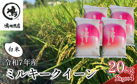  米 令和7年 ミルキークイーン 20kg ( 5kg × 4 ) 千葉産 白米　【 お米 ミルキークイーン こめ コメ おこめ 】 