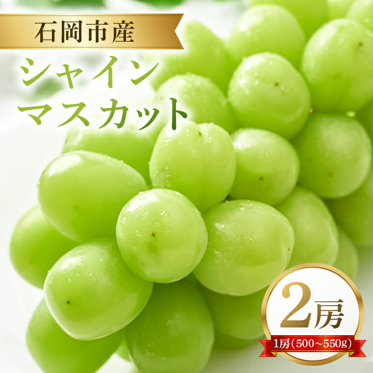 【ふるさと納税】【2026年先行予約】石岡市産 シャインマスカット 500～550g 2房 果物 フルーツ くだもの 茨城県 石岡市 A38-004
