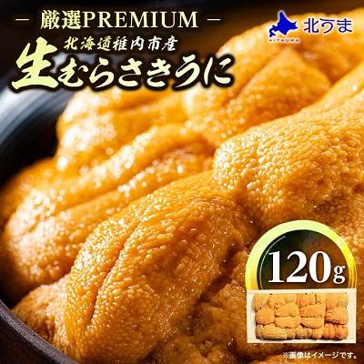 ふるさと納税 稚内市 令和8年発送 先行受付【厳選PREMIUM】美味しいウニは昆布の名産地にあり!生むらさきうに120g