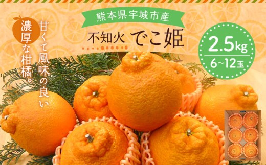 先行予約 不知火 でこ姫 約2.5kg（6～12玉）【吉田レモニー】【2027年3月上旬-6月上旬発送】