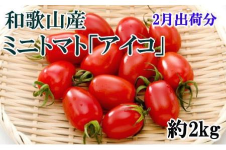 トマト 2月 先行予約 野菜  / 【2025年2月出荷分】和歌山産ミニトマト「アイコトマト」約2kg（S・Mサイズおまかせ）【tec100-2】