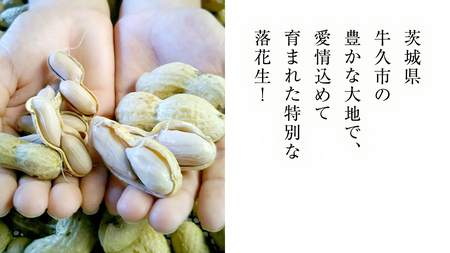 牛久市産 茹で 落花生 300g × 3袋 セット 計900g 茹で落花生 ゆで落花生 ピーナッツ ナッツ 詰合せ 豆 無塩 塩分不使用 おつまみ おやつ お菓子 素焼き マメ まめ 料理 お茶漬け 