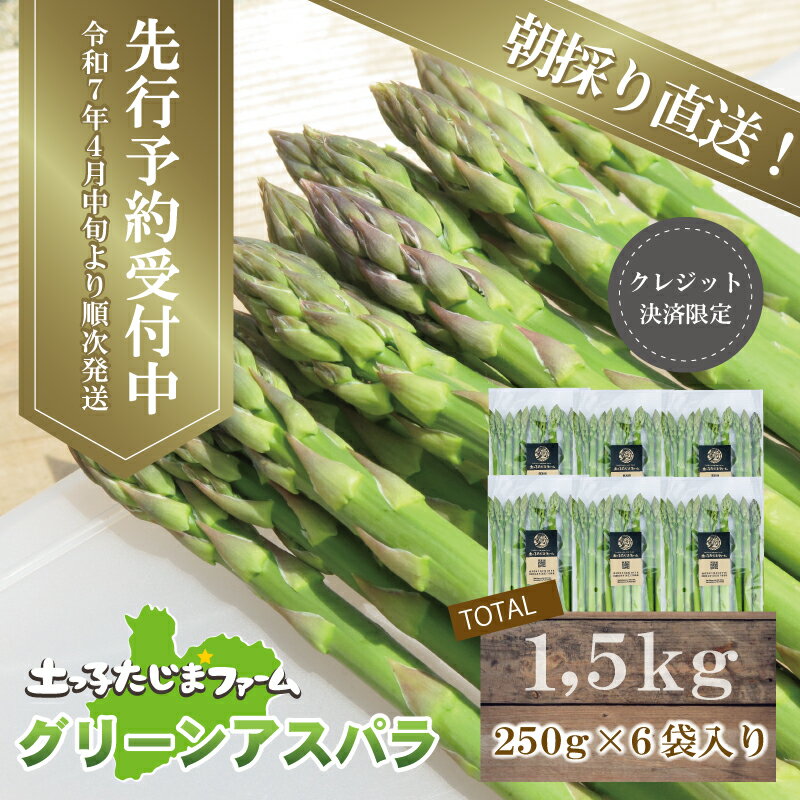 【ふるさと納税】【先行予約】農家直送！南会津町産朝採り春アスパラ（グリーン）1.5kg（250g入×6袋入） アスパラガス 野菜 グリーンアスパラ 　お届け：2026年5月10日まで