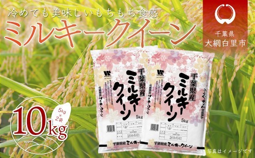
                  令和7年産 千葉県産「ミルキークイーン」10kg（5kg×2袋） お米 10kg 千葉県産 大網白里市 ミルキークイーン 米 精米 こめ 送料無料　A007
                