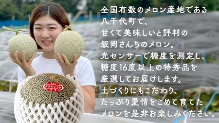 【 先行予約 】タカミレッドメロン 特秀品 1玉 糖度 16度以上 光センサー 厳選 プレミアム メロン メロン メロン メロン メロン メロン メロン メロン メロン[CG007ya]