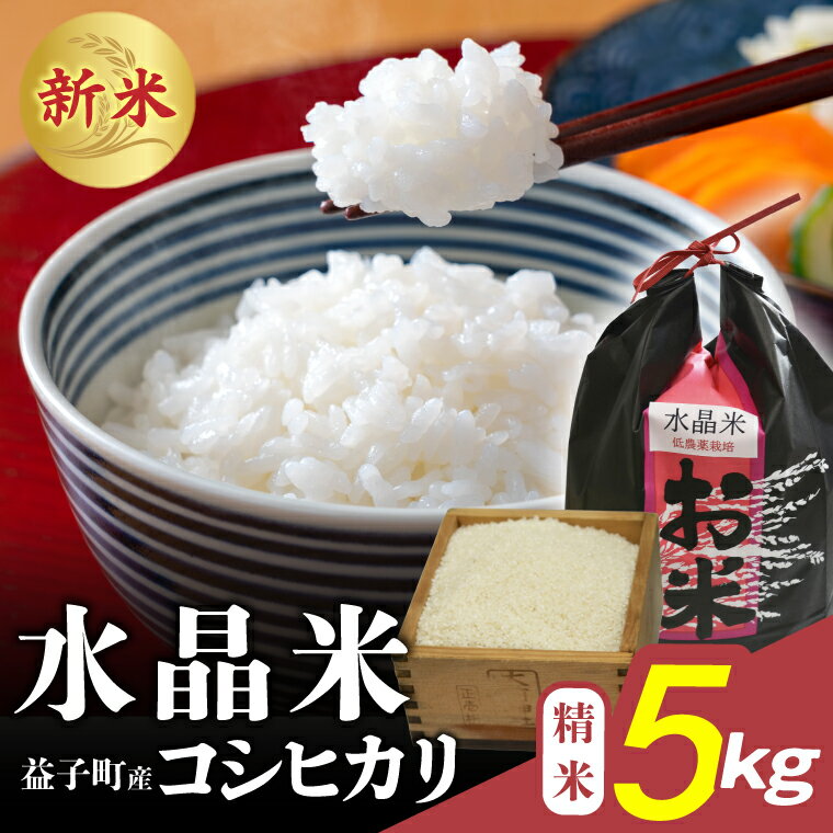 【ふるさと納税】＼新米 令和7年産／ 瀬尾糀店の水晶米 コシヒカリ (精米) 5kg | 水晶米 コシヒカリ 精米 ふっくら 益子町 ふるさと納税 (AK013)
