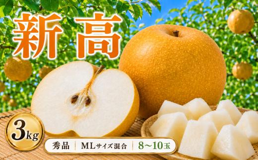 【2026年先行予約】栃木県産 梨 【秀品】新高 3kg | 新高 なし ナシ 完熟 果物 フルーツ プレゼント ご褒美 お取り寄せ 贈答 おいしい ジューシー 数量 限定 栃木県産 栃木県 真岡市 減農薬 送料無料【栃木県共通返礼品 栃木県産】