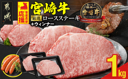 畜産農家応援! 宮崎牛ロースステーキ4枚 計1000g+豚肉ハンバーグ100g×4個_AE-N201-ESH_(都城市) ロースステーキ 1000g 1kg 宮崎牛 牛肉 宮崎県産 国産 ロース肉 ステーキ肉 高級 とろける ミヤチク