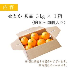 【2025年2月以降発送】とろける濃厚柑橘 せとか 3kg 愛媛県八幡浜産【D25-9】【1268365】