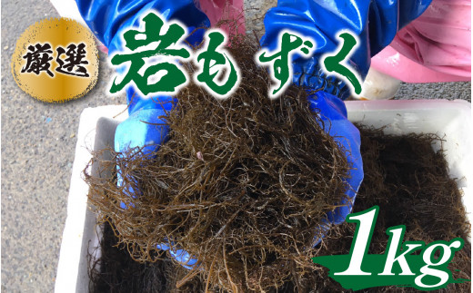 【先行予約】とれたて！！ 厳選岩もずく1.0kg｜ 新鮮 お造り 刺身 晩酌 食卓 BBQ 【2026年5月下旬ごろ順次発送】
