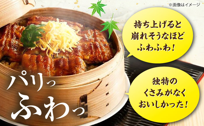 福岡県産 うなぎ 蒲焼 大 10尾　計1,600g（1尾あたり 160g以上）《豊前市》【福岡養鰻】 国産 鰻 ウナギ 蒲焼き [VAD026]