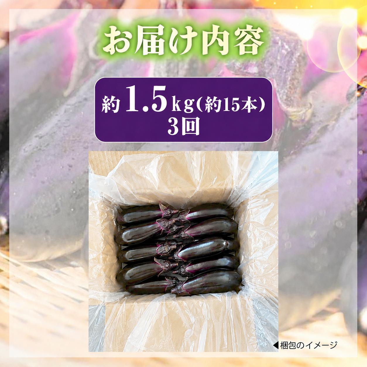 【先行受付】 3回定期便 「優秀賞受賞なす」 計4.5kg 約1.5kg×3回 採れたて 新鮮 旬 野菜 やさい 茄子 先行予約 期間限定 季節 料理 ご飯 ごはん 朝採れ 極上 フレッシュ 農産物 
