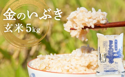 令和7年産 金のいぶき（玄米）5kg