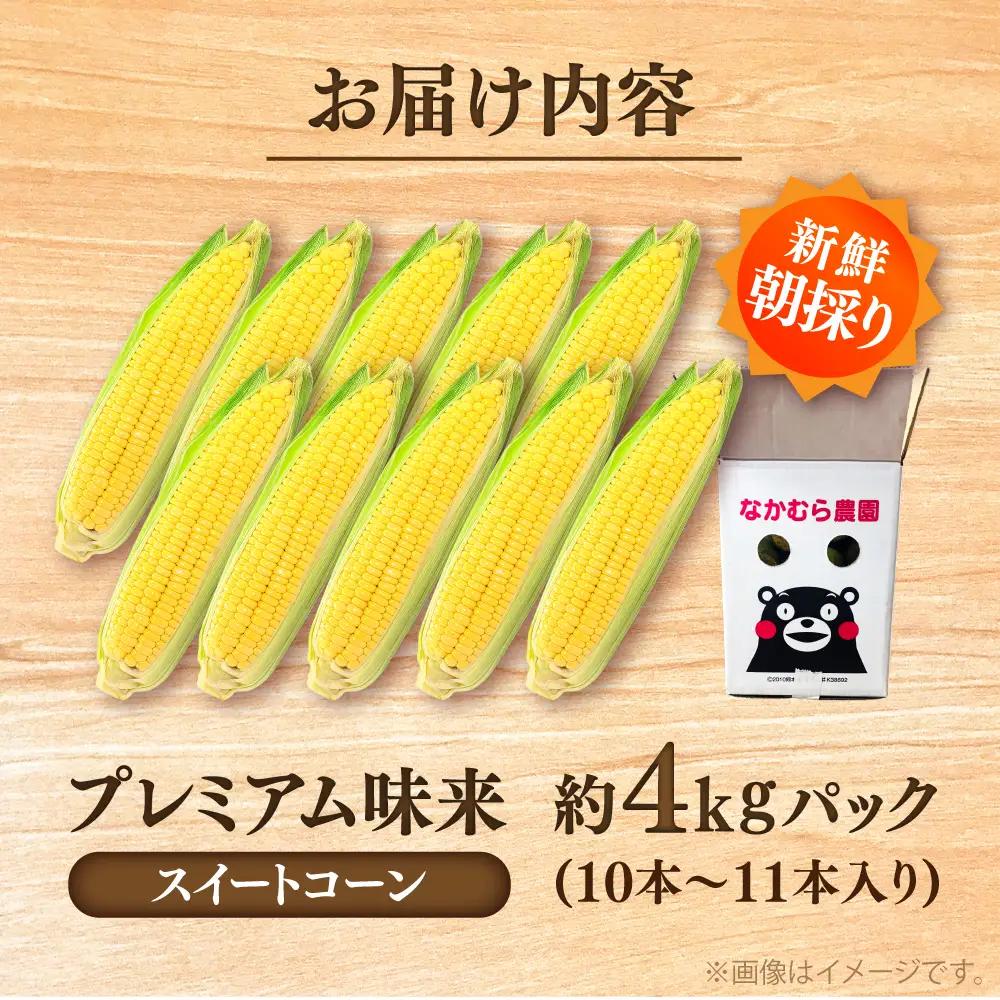 【先行予約】【2027年5月中旬より順次発送】スイートコーン(プレミアム味来) 約4kg スイートコーン[BHCJ004]