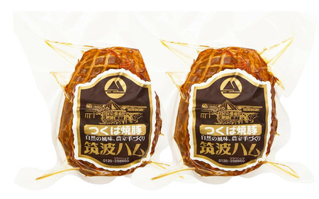 焼豚 筑波ハム つくば焼豚500g(250g×2) 