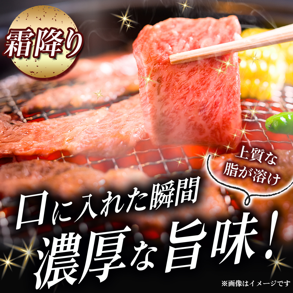 【A5等級】宮崎牛 特選焼肉セット 計800g（赤身・霜降り） 宮崎牛 プレミアムシリーズ ブランド牛 和牛 牛肉 焼肉 特選和牛 霜降り A5 宮崎県 小林市