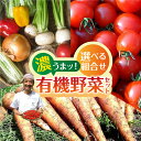 【ふるさと納税】【選べる組み合わせ】濃うまッ！有機野菜セット　野菜の栄養価コンテストグランプリ農家が贈る 無農薬栽培 旬 野菜セット 4品 お試し定期便 詰め合わせ 無農薬 2回お届け 野菜 味噌 定期便 お楽しみ ありがとうファーム [Q795x] 15000円 1万 5千円