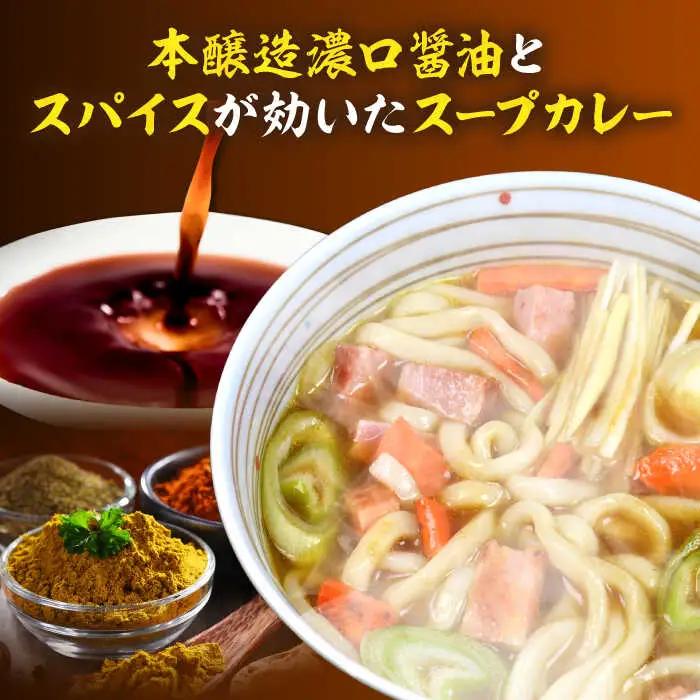 【全3回定期便】スープカレーうどん 12食 VAI071 カレーうどん