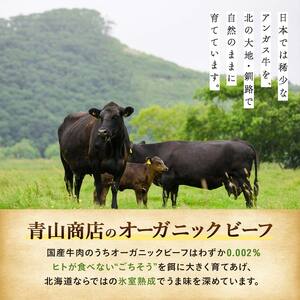 釧路生まれ、釧路育ちのオーガニックビーフ 生ハンバーグ120g×4枚 ふるさと納税 肉 F4F-1446