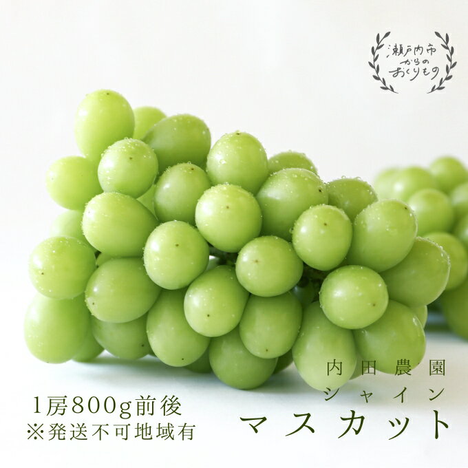 【ふるさと納税】シャインマスカット1房（800g前後）内田農園 岡山県 瀬戸内市 邑久町産 葡萄 ぶどう 2026年【配達不可：北海道・沖縄・離島】 果物類 ブドウ フルーツ シャインマスカット お届け：2026年7月下旬～2026年9月下旬