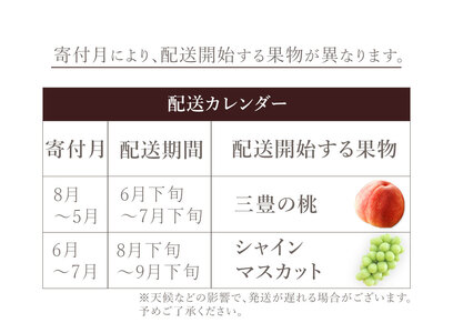 フルーツ定期便 2回 三豊市 三豊の桃 2kg 特大シャインマスカット 800g【配送不可地域：北海道・沖縄県・離島】_M02-0207