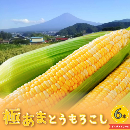 ＜2025年先行予約＞【富士山の麓で育つ】富士河口湖町産 Inakakaraとうもろこし「ドルチェドリーム」6本入 FBA007
