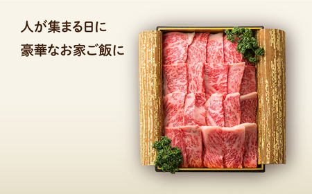 【3回定期便】 長崎和牛 焼肉 ロース 約500g 長与町/ワタナベ商店[ECT018]