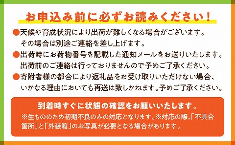 【先行予約】期間限定 数量限定 宮崎産 アールスメロン <赤肉> 1玉 (1.4～1.6kg)