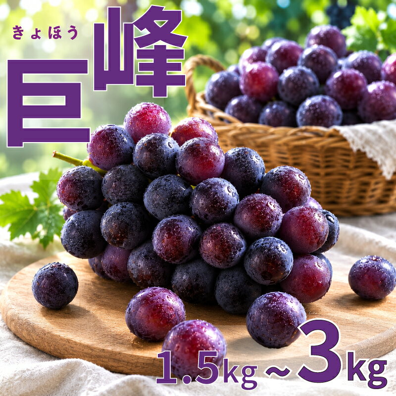 【ふるさと納税】 【先行予約】 2026年発送 巨峰 1.5kg / 2kg / 3kg ぶどう お中元 夏ギフト 選べる 容量 お試し 旬 果物 新鮮産直 果物 くだもの フルーツ ぶどう ブドウ 葡萄 産地直送 ご家庭 家庭用 贈答 人気 ギフト 贈答 福岡県 福岡 川崎町