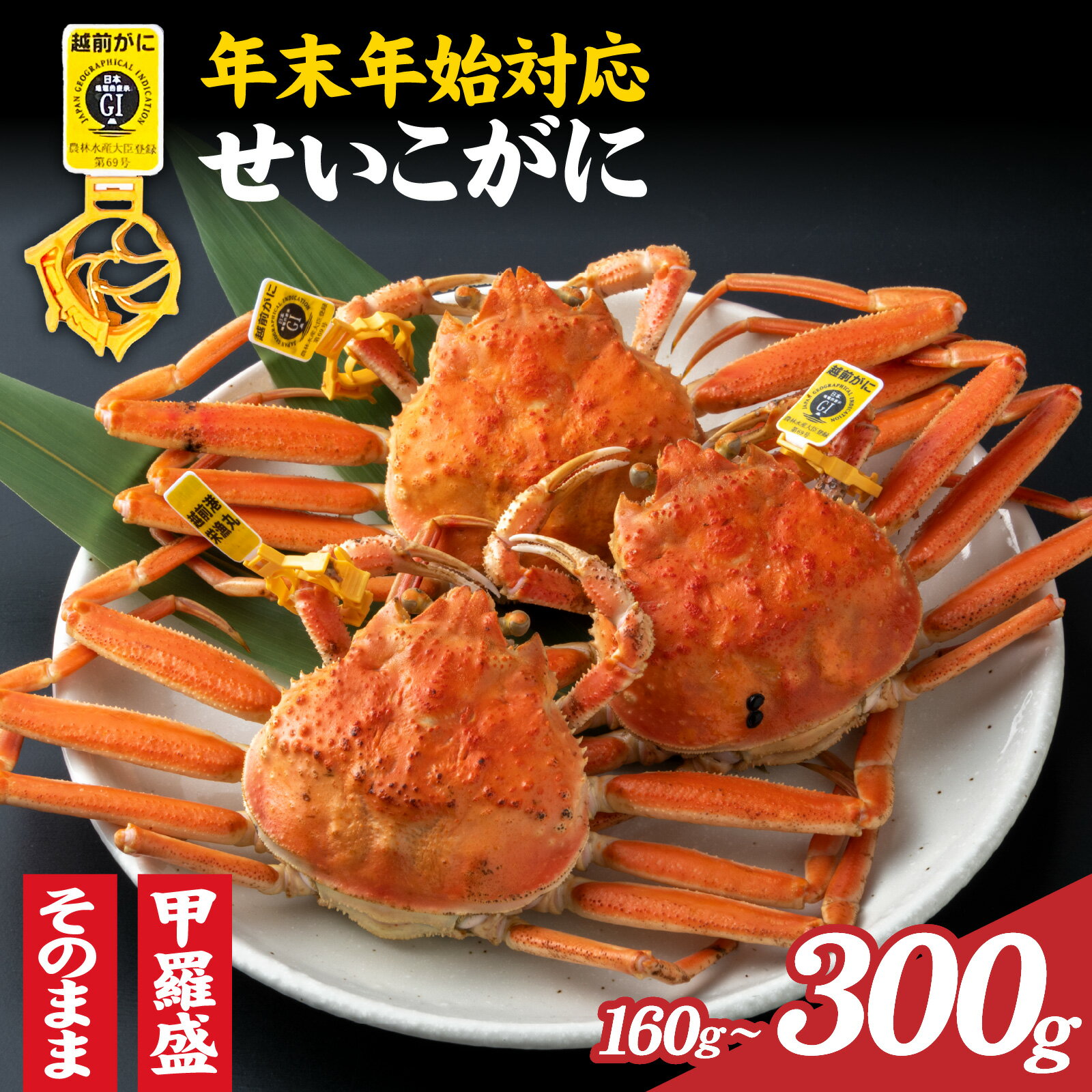 【ふるさと納税】【先行予約】美味しさ直送！ 【成前特選】 せいこがに ×5杯 選べる大きさ！【年末年始対応】 [E-028010] / かに かにみそ 越前ガニ ズワイガニ ずわい蟹 ズワイガニ 姿 年内お届け せいこ蟹 せこがに 香箱がに 香箱かに メス 福井 国産 冷蔵 年内発送