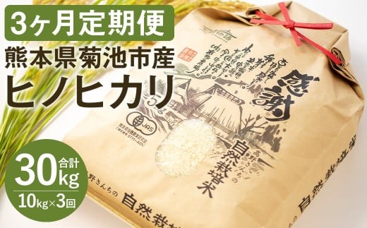 【通常パッケージ】【定期便3ヶ月】令和7年産 七城物語 高野さんちの 自然栽培米 精米 10kg 2.5kg×4パック 計30kg お米 米 精米 白米 ヒノヒカリ