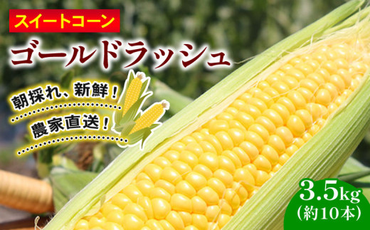 訳あり スイートコーン (ゴールドラッシュ) 3.5kg（約10本） | 2026年発送 6月 早期予約 贈答用 ギフト用にも スイート コーン 野菜 トウモロコシ とうもろこし 厳選 人気 夏 やさい 旬 甘い 先行予約 産地直送 数量限定 冷蔵 期間限定 季節限定 おすすめ 高知県 南国市
