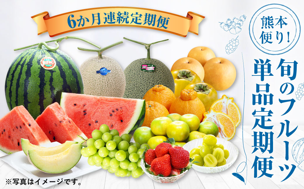 【6か月連続定期便】熊本便り！旬のフルーツ単品定期便