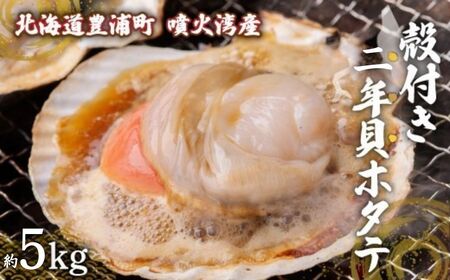 【先行予約】北海道 豊浦町 殻付き 2年貝 活ホタテ 約5kg（５０枚～７０枚）（2026年1月から3月より順次発送） TYUP002