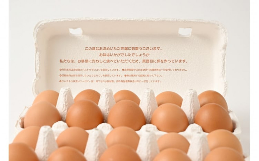 料理人も「うまい！」と絶賛　昔の味たまご 30個入り ｜ 卵 鶏卵 玉子 たまご 生卵 国産 濃厚 コク 卵かけご飯 旨味 旨み