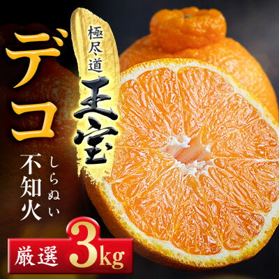 【ふるさと納税】【愛媛名産】玉宝デコ(不知火)　3kg【C64-49】【1511375】