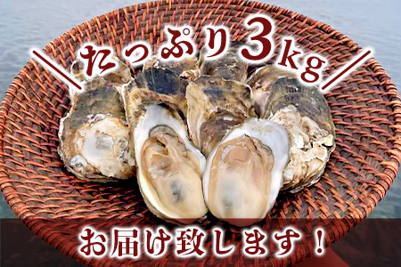 【期間限定】【牡蠣】【有明海】かしまん牡蠣(養殖）殻付き　3kg　かき　佐賀県　鹿島市　有明海　C-114