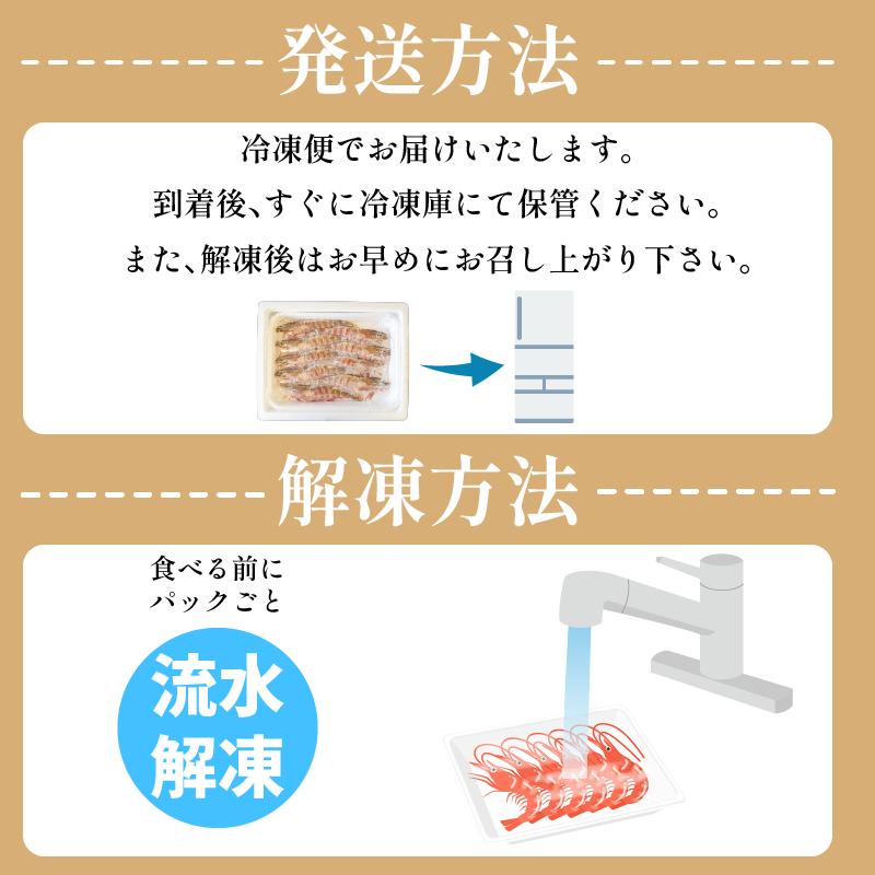 えび 足赤海老 1kg  海老 天然 えび あしあかえび 冷凍 鮮度そのまま 海老 刺身 甘い エビフライ 塩焼き 殻付き プリプリ ebi エビ 天然えび 徳島