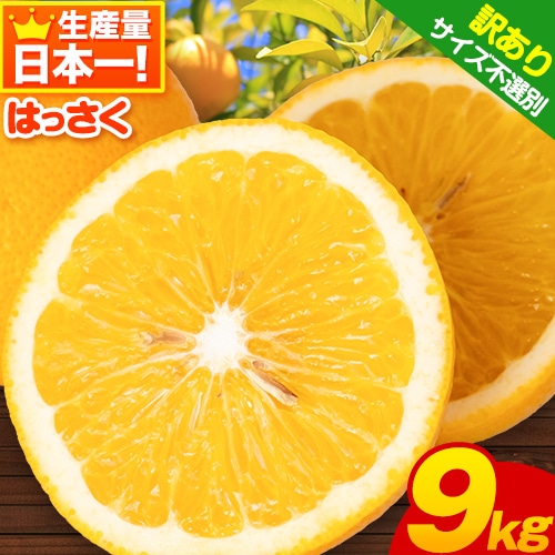 【訳あり/ご家庭用】はっさく 約9kg (4L~Sサイズ) サイズ不選別 早生･晩生指定不可 《2026年2月上旬-3月中旬頃出荷》和歌山県 紀の川市 産地直送 みかん 八朔 柑橘 果物 フルーツ ご家庭用 ビタミンC たっぷり---wfn_wlocal105_2j3c_25_10000_9kg---