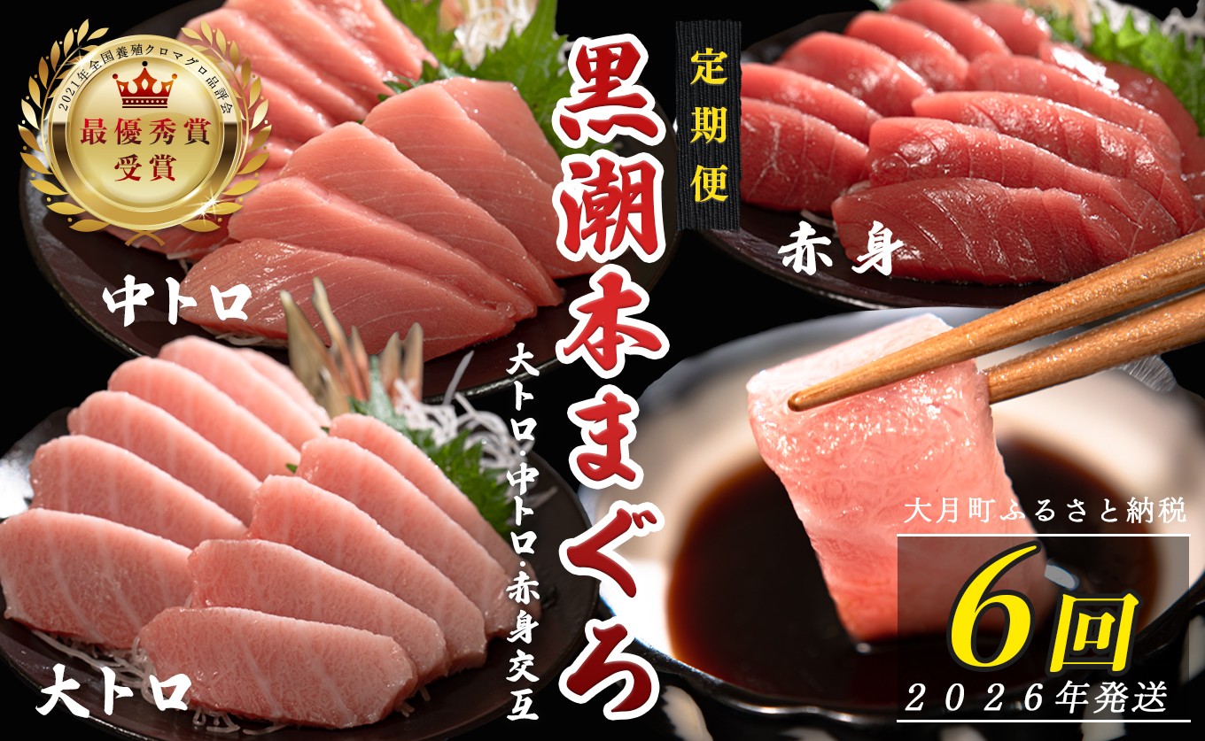 
            【定期便 6回】日本一!黒潮本まぐろ 大トロ・中トロ・赤身（交互）
          
