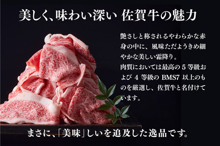 艶さし!【A4～A5】佐賀牛大判霜降り贅沢切り落とし 750g(250g×3P)【佐賀牛 切り落とし 霜降り 肩ロース 大判 一枚肉 薄切り 250g 小分け】(H112341)