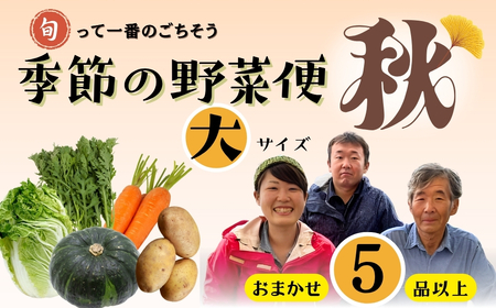 【先行予約】～旬っていちばんのごちそう～ひぐらし農場 季節の野菜便（秋）大サイズ（7-A38）