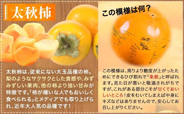 先行予約 4回 フルーツ 定期便 梨 みかん 柿 不知火 緑伸園  熊本
