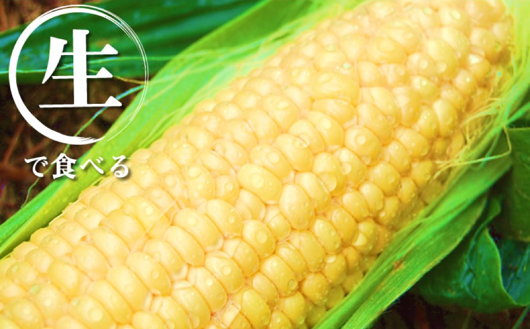 とうもろこし ゴールドラッシュ