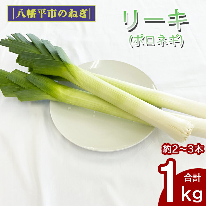 【ふるさと納税】 ねぎ 長ねぎ 西洋ねぎ 岩手県産 リーキ 1kg ／ 野菜 ネギ 葱 ポロネギ ポワロ ポアロ 香味野菜 新鮮 フランス料理 フレンチ イタリア料理 イタリアン 希少 稀少 産地直送 八幡平市産 農家直送 煮込み料理 おすすめ みのり風土 岩手県 八幡平市 送料無料