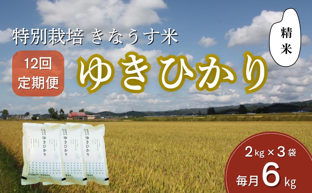 
                  【精米12ヶ月定期便】特別栽培米ゆきひかり2kg×3袋　Q004
                