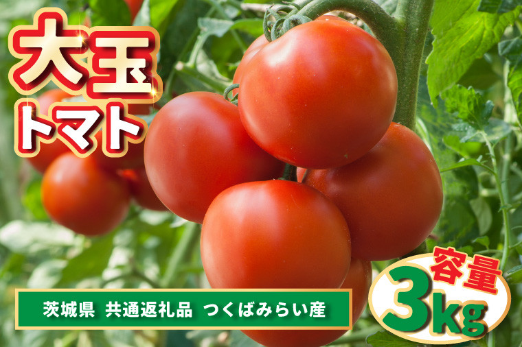 
            大玉トマト　3kg (県内共通返礼品:つくばみらい市産) (BR086)
          