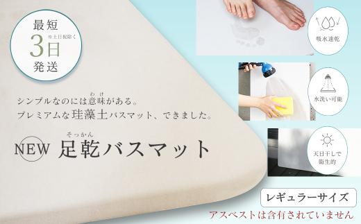 珪藻土バスマット NEW 足乾（そっかん）バスマット　レギュラーサイズ 【最短3営業日発送】 愛媛県西条市 ｜  珪藻土 バスマット 足拭きマット 浴室マット バス用品 足ふきマット 吸水マット 新生活